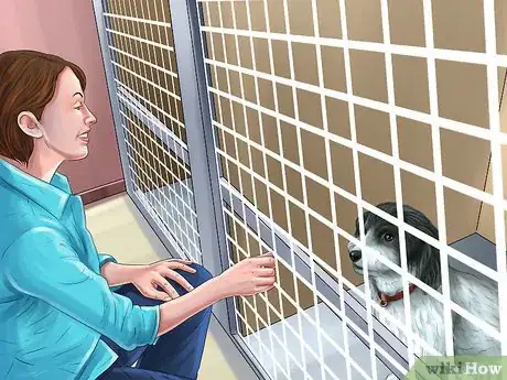 Image titled Adopt a Golden Retriever Step 5