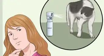 Keep Cats off the Dinner Table