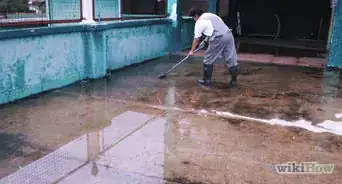 Deal with Damp in Your Home