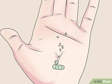 Image titled Grow Impatiens Step 2