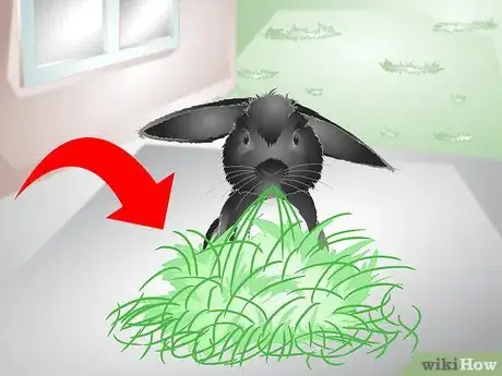 Image titled Keep Your Rabbit Slim Step 8