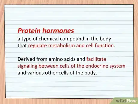 Image titled Study the Functions of Protein Hormones in Humans Step 1
