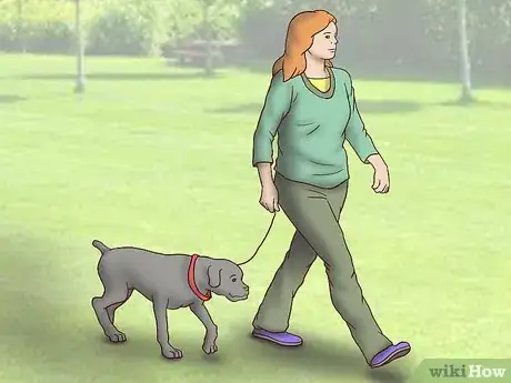 Image titled Adopt a Fostered Dog Step 16