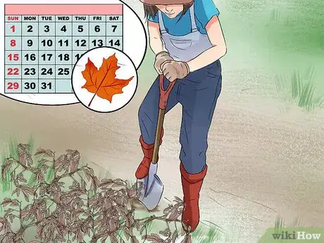 Image titled Plant Cedar Trees Step 7