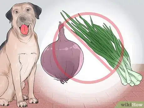 Image titled Avoid Foods Dangerous for Your Dog Step 8