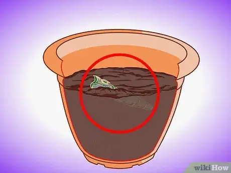 Image titled Plant Aquatic Plants Step 14