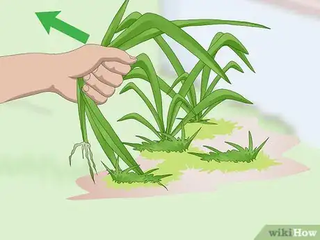 Image titled Prepare Your Garden for the Fall Step 3