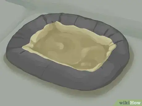 Image titled Travel with a Cat Step 6