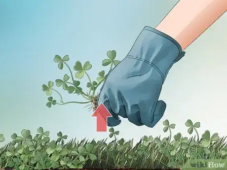 Image titled Keep Ticks Out of Your Yard Step 4