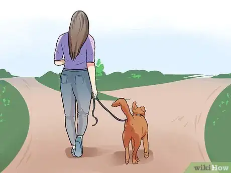 Image titled Get a Therapy Dog Step 9