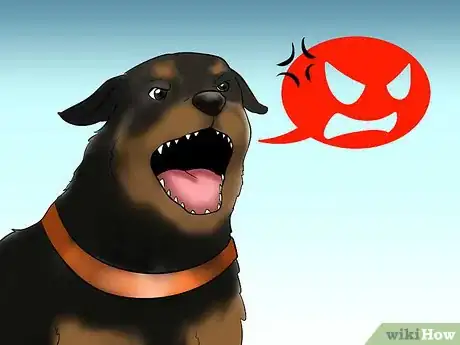 Image titled Know if You Can Care for a Rottweiler Step 12