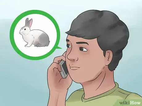 Image titled Prevent Poisoning in Pet Rabbits Step 9