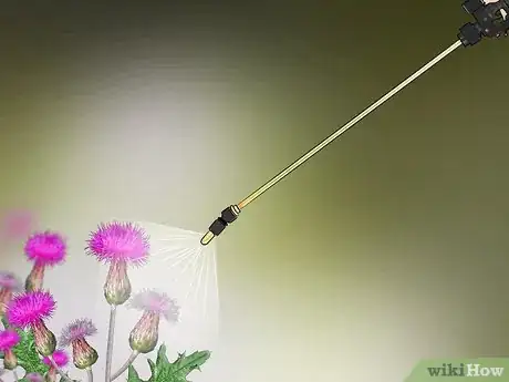 Image titled Root Out Thistles Step 12