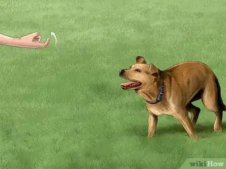 Image titled Keep Your Dog Under Control Outside Step 8