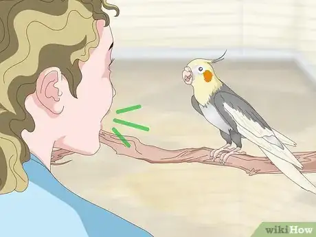Image titled Entertain a Cockatiel Step 8