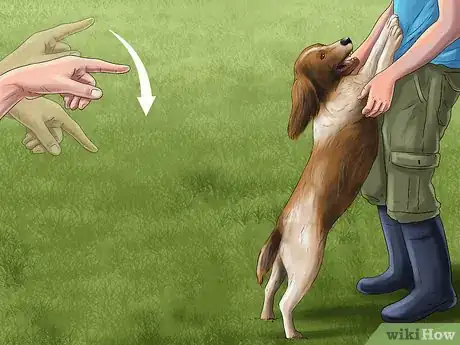 Image titled Keep Your Dog Under Control Outside Step 5