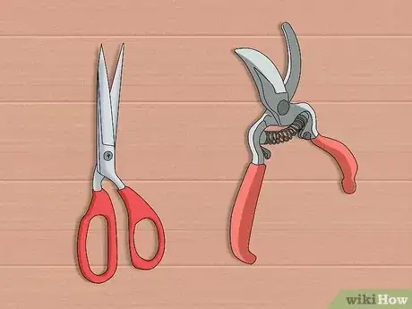 Image titled Prune a Jade Plant Step 3