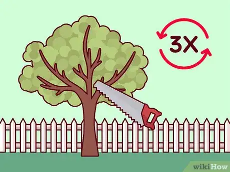 Image titled Do Basic Dormant Season Pruning Step 7