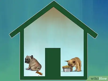 Image titled Treat Diarrhea and Constipation in Dogs and Cats Step 1