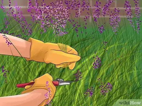 Image titled Harvest Herbs Step 9