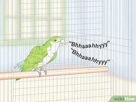 Image titled Teach a Quaker Parrot to Speak Step 4