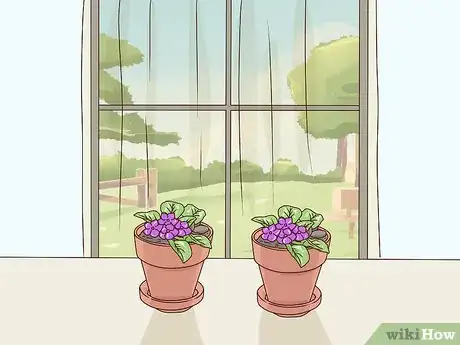 Image titled Grow African Violets Step 11