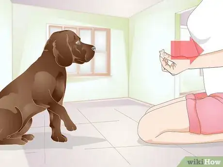 Image titled Train a Dog to Stand Up Step 6
