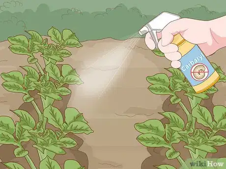 Image titled Identify Cutworm Damage Step 14