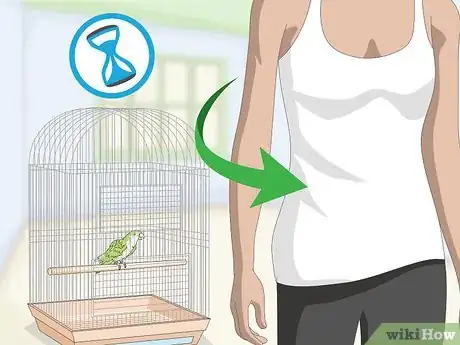 Image titled Teach a Quaker Parrot to Speak Step 9