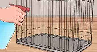 Make Dwarf Hamsters Stop Biting the Cage