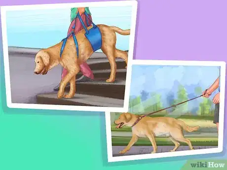 Image titled Get Canine Physical Therapy Step 6