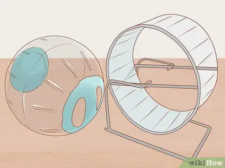 Image titled Care for a Crested Guinea Pig Step 15