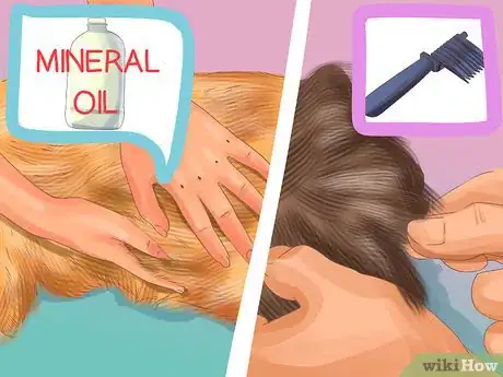 Image titled Groom a Thick Furred Dog Step 7