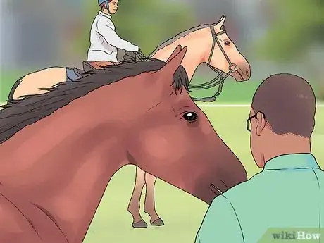Image titled Succeed at Your First Horse Show Step 3
