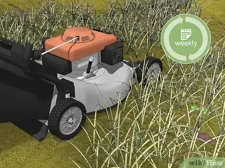 Image titled Keep Ticks Out of Your Yard Step 1