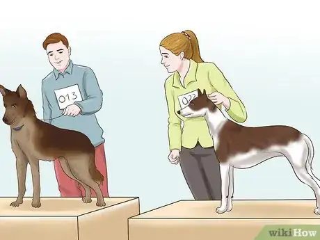 Image titled Become a Dog Show Judge Step 4
