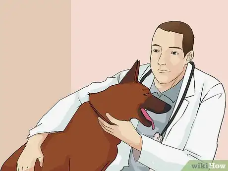 Image titled Avoid Liability Issues in K9 Police Units Step 7