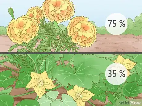 Image titled How Do Insects Help a Plant to Reproduce Step 5