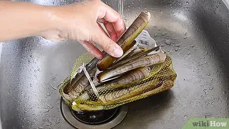 Image titled Freeze Razor Clams Step 1