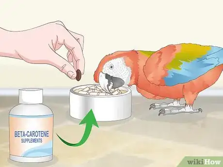 Image titled Treat Allergies in Macaws Step 7
