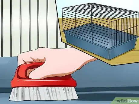 Image titled Know if You're Ready to Care for a Bunny Step 8