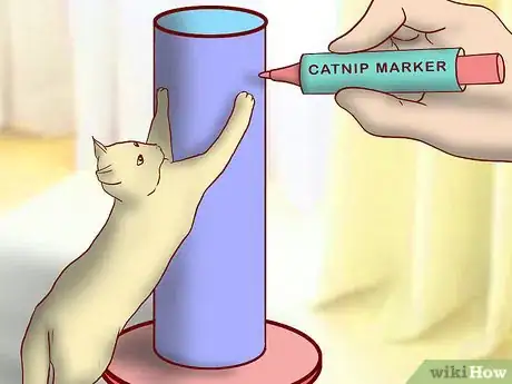 Image titled Get an Overweight Senior Cat to Lose Weight Step 8