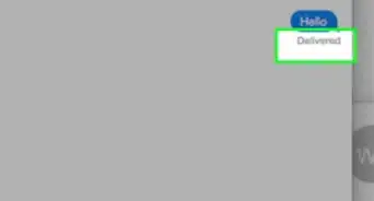 Know if a Message Was Delivered on Apple Messages