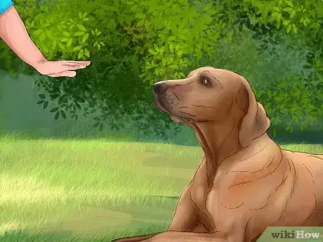 Image titled Bring Up a Loyal Dog Step 5