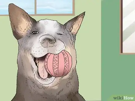 Image titled Keep Your Dog Calm After Neutering Step 10