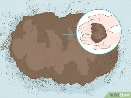 Image titled Grow Cloves Step 4