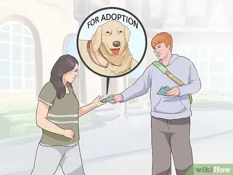Image titled Encourage Senior Dog Adoption Step 9