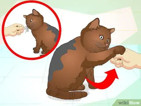Image titled Teach Your Cat to Do Tricks Step 10