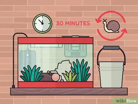Image titled Set Up a Plant‐Only Aquarium Step 15