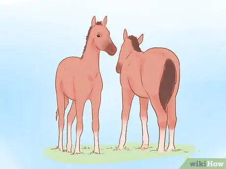 Image titled Wean a Foal Step 15
